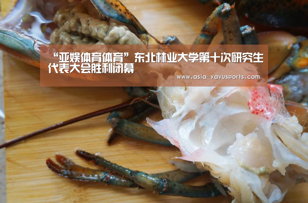 亚娱体育