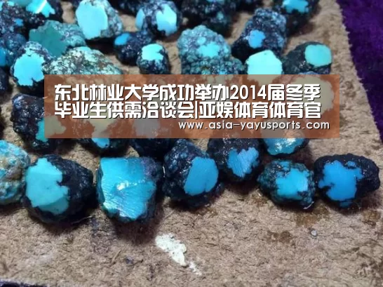 东北林业大学成功举办2014届冬季毕业生供需洽谈会|亚娱体育体育官网(图1) 亚娱体育体育