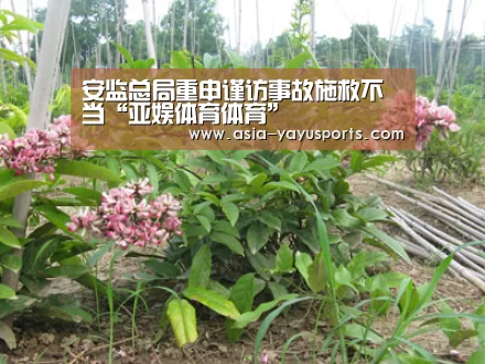 安监总局重申谨访事故施救不当“亚娱体育体育”(图1) 亚娱体育体育
