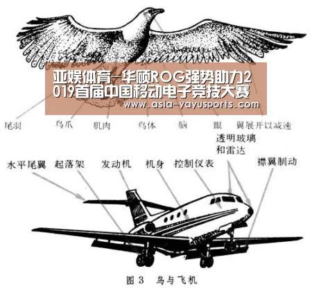 亚娱体育-华硕ROG强势助力2019首届中国移动电子竞技大赛(图3) 亚娱体育体育官网